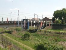 CIMG4074.JPG