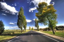 road.jpg
