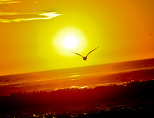 sunset.jpg